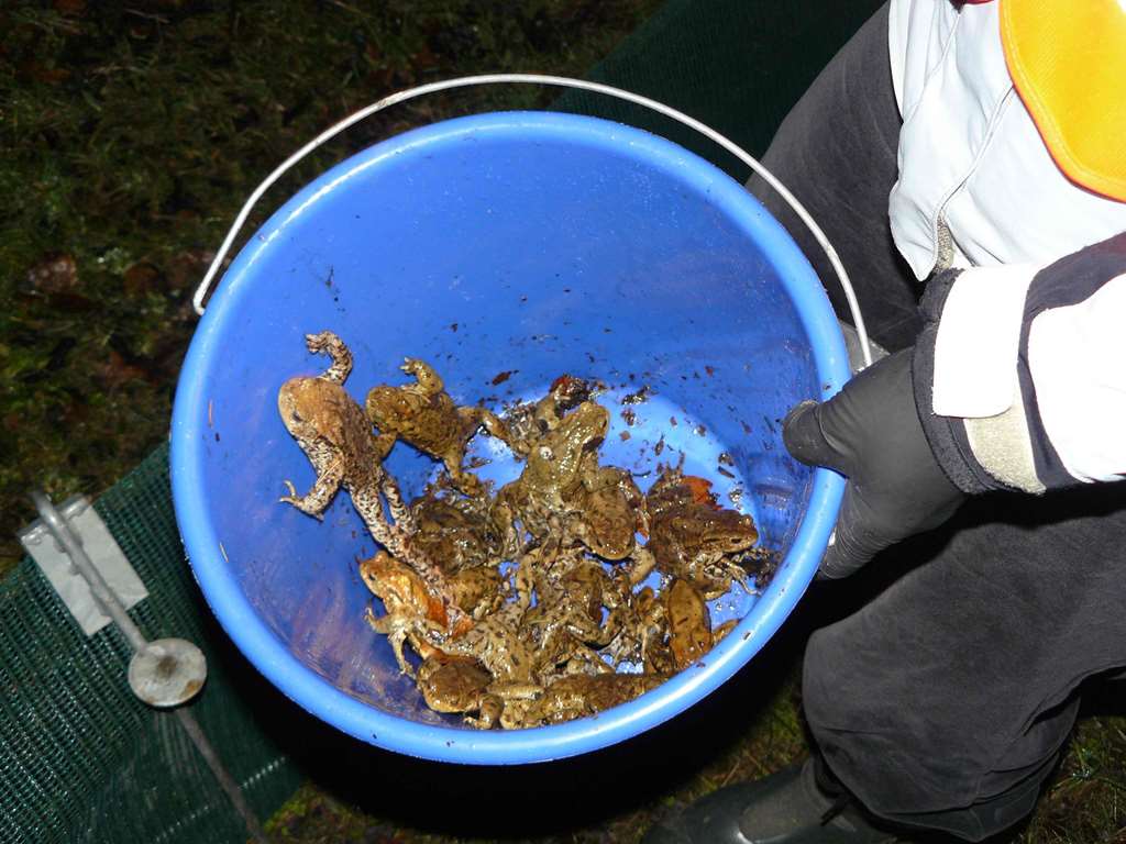 Foto: Monika v. Haller